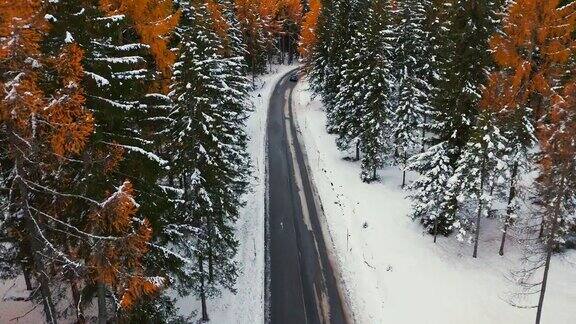 无人机拍摄的汽车行驶在积雪覆盖的白云岩针叶林