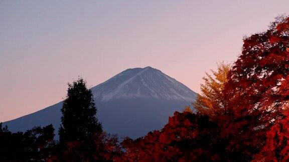 富士山上的枫叶园秋日灯火通明