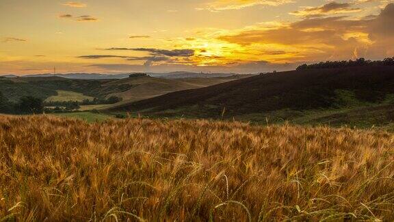 托斯卡纳日出景观中的金色麦田延时风景
