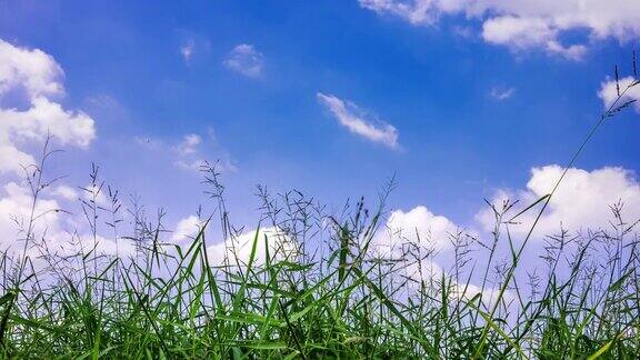 在绿色的田野上一层一层的云