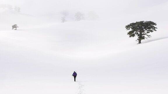 登山者冬天在森林里徒步旅行