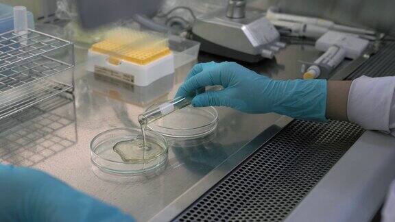 实验室里检查抗生素的培养皿的特写镜头