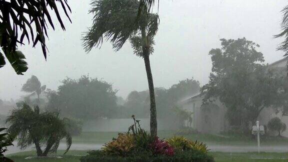 佛罗里达的飓风