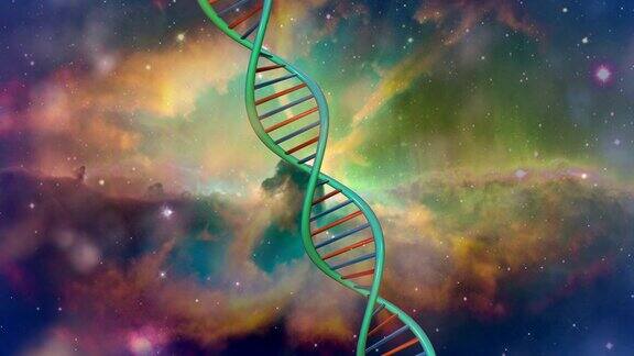 DNA空间2