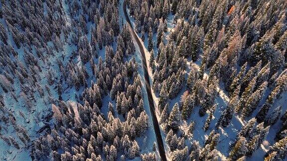 空中无人机拍摄的柏油路在落叶松在白云石雪山景观