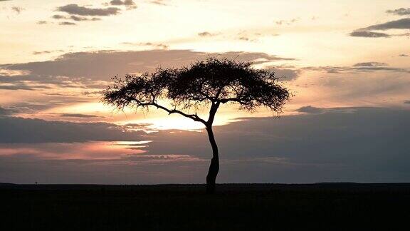 美丽的非洲日落