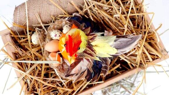 特写、俯视、旋转、复活节喜庆构图在一个木盒子里在一根稻草里有一只小母鸡旁边生着蛋