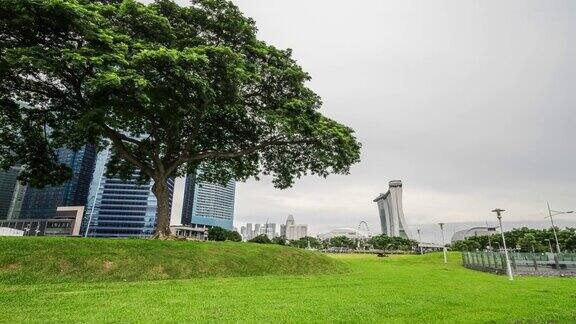 延时拍摄新加坡的大树和城市景观