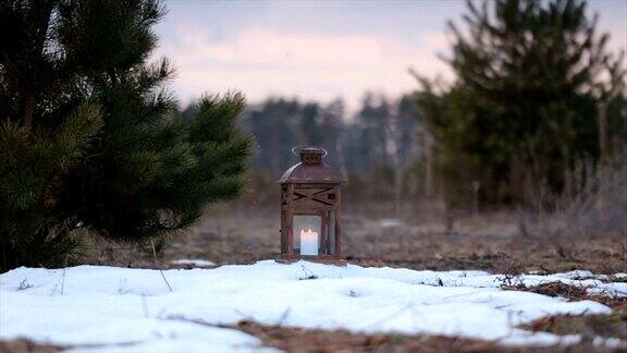 一盏插着蜡烛的木灯矗立在长满小松树的田野里