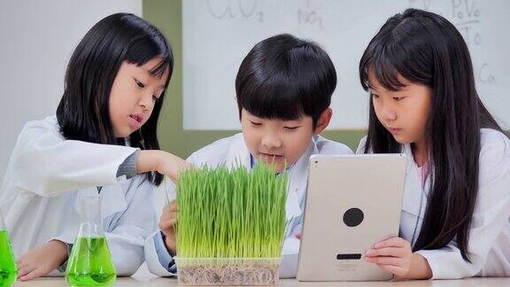 中学生物学实验如何让孩子在生物课上感兴趣孩子们种植和照顾等待观察组件和生长教育、技术、团队、生物、科学、人本理念教育的主题