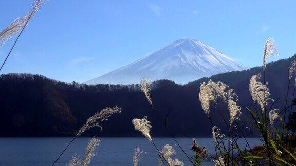 从川口湖到富士山