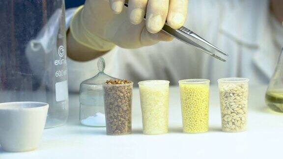谷物实验室研究食品质量实验室助理
