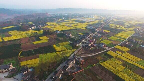 中国四川农村鸟瞰图乡村景观与油菜种田和村舍4k