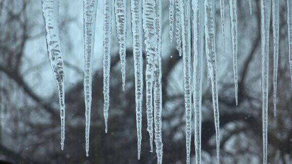 窗外大冰柱和雪花纷飞慢性