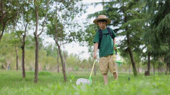 一个亚洲男孩正在森林里捉昆虫