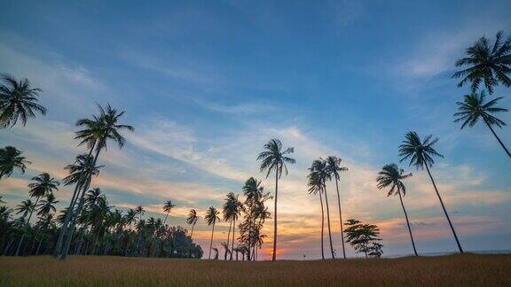 时间流逝的风景令人惊叹的天空日落椰树