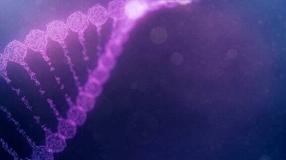 旋转神经丛DNA链与脉冲运行-紫色版本