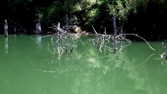 湖中的倒影
