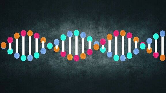 基因DNA结构