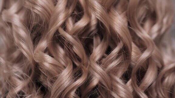 金发女郎头上有弹性的卷发一缕头发就是一缕春天