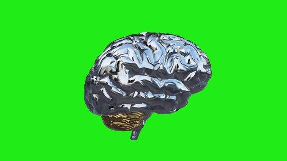 AI大脑旋转绿屏