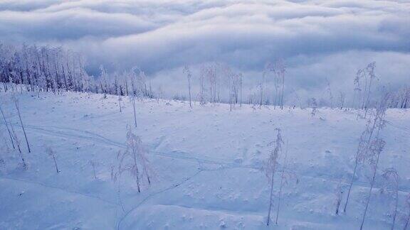 从山顶的雪地缓慢移动向云海