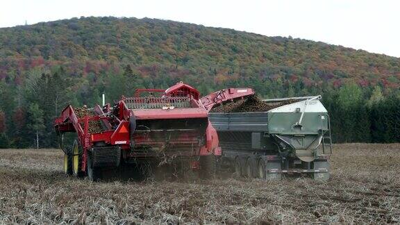 秋天收获新鲜土豆的拖拉机、卡车和农业机械