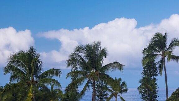 夏威夷大岛上的云朵和棕榈树
