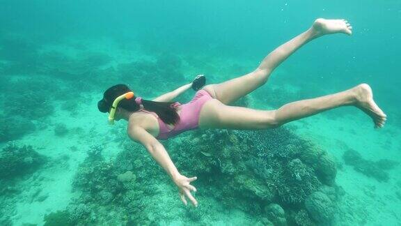 年轻苗条的女性浮潜者在海底游泳观察珊瑚