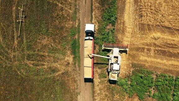 无人机视角:收割机在麦田工作联合收割机在农田收割栽培谷类作物农业有机谷物黑麦和大麦种植