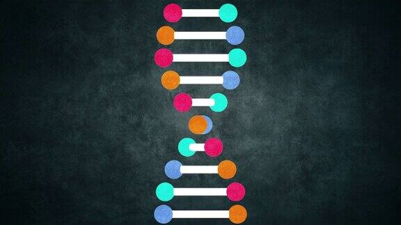 遗传DNA和RNA结构-腺嘌呤胸腺嘧啶鸟嘌呤胞嘧啶