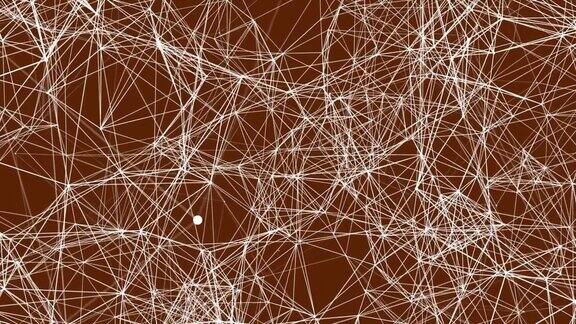 抽象数字丛背景与线点网络连接科学技术