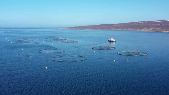 航拍挪威鲑鱼养殖场