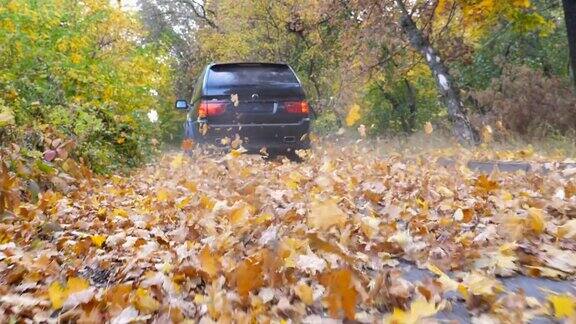 一辆大马力的汽车在阳光明媚的日子穿过小巷五颜六色的秋叶从车轮下飞了出来黑色SUV快速行驶在空旷的道路上越过公园的黄叶低角度的观点