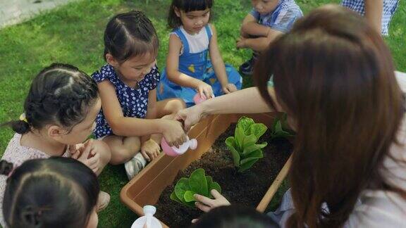 幼儿园里教孩子植物的学前教师