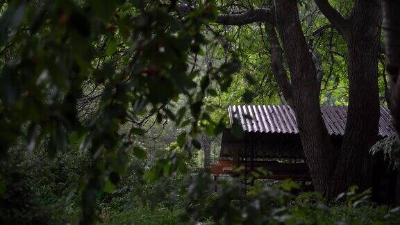 夏天花园里下雨雨点落在绿树下的屋顶上