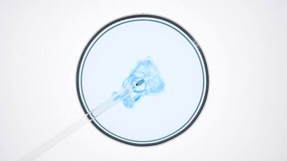 滴管将蓝色液体注入培养皿中的浅蓝色液体中