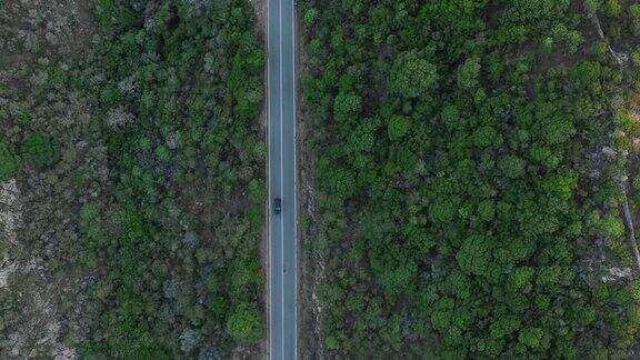 从上面的视频鸟瞰图一辆汽车经过一条有丰富的绿色植被的道路