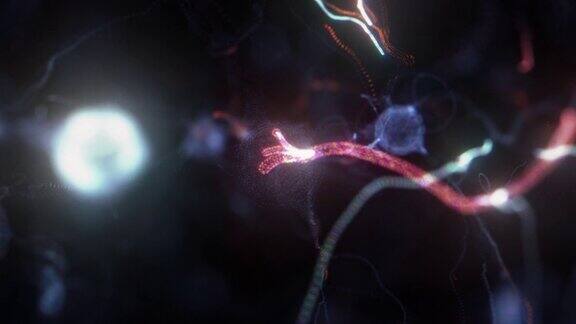 活跃神经元细胞视频脑神经元医学背景