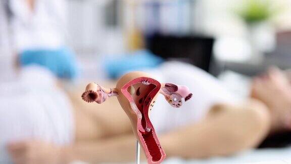 妇科医生在做女性生殖系统的超声波检查