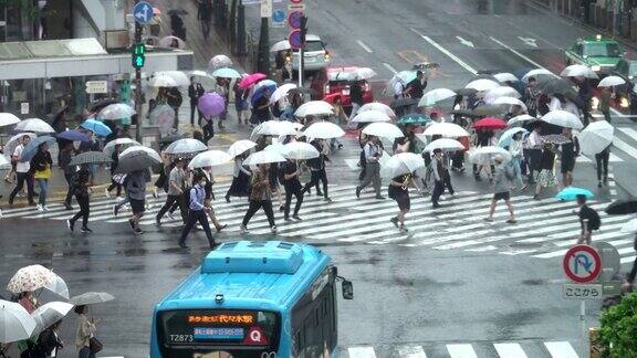 雨夜的涩谷区人行横道上拥挤的人群东京日本间隔拍摄