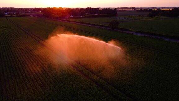 农业灌溉系统在夕阳下