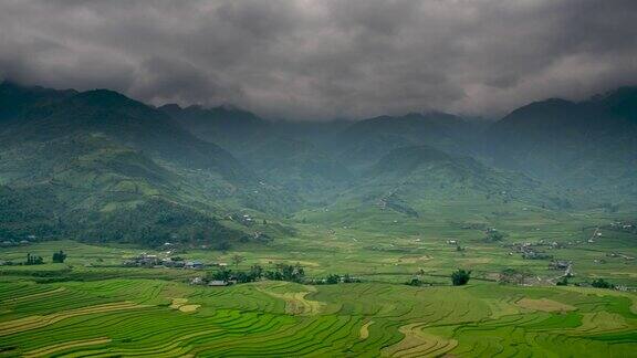 雾树雾林是热带雨林中的一种风景晨光里的雾雾绿色自然山谷雾景树自然在常绿美丽的热带景观户外