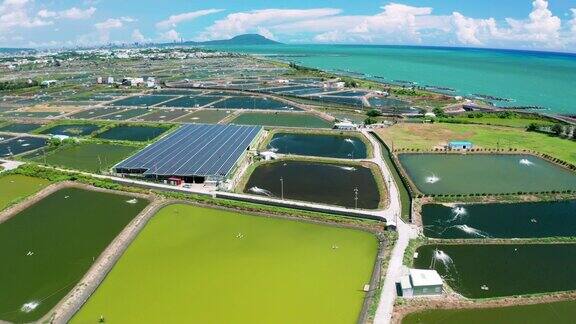 鱼塘上用于发电的太阳能电池板农场鸟瞰图