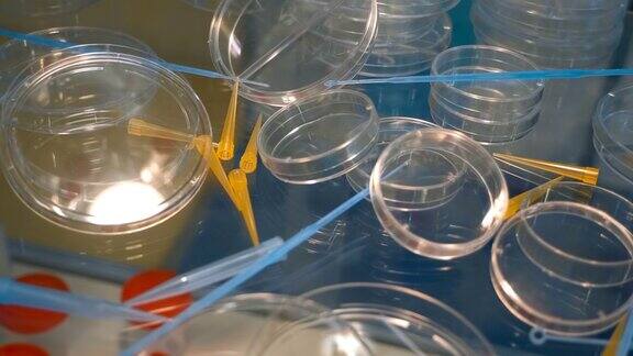 新的细菌循环移液管尖端培养皿