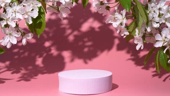 粉红色的讲台和樱花盛开树叶阴影产品设计模型