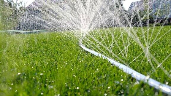 喷水和飞溅的特写用软管浇灌草坪自动园林灌溉系统浇灌草坪用于灌溉和维护草坪、园艺的自动设备