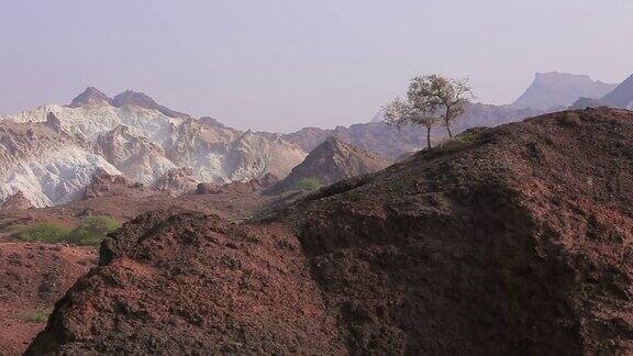 霍尔木兹岛的彩色沙漠山脉和山上的一棵树令人惊叹的风景伊朗