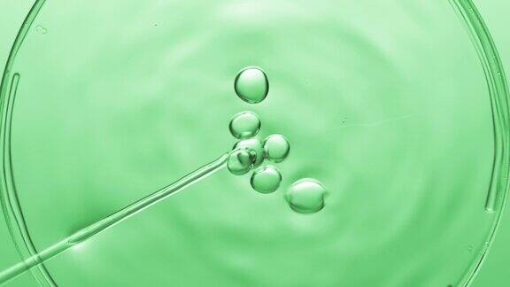 气泡从滴管中流出漂浮在培养皿中的液体上