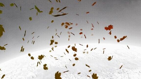 数字动画的多重秋天的枫叶漂浮在冬季景观的背景